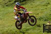 Yarley