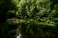 River Coln Bibury