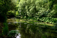 River Coln Bibury
