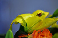 Green Flower