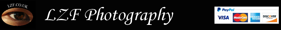 LZF Photography